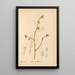 Riproduzione del dipinto Piante medicinali Pl042 - Charles Frederick Millspaugh