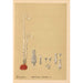 Piante medicinali Pl055 - Charles Frederick Millspaugh — vista dell’opera
