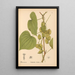 Piante medicinali Pl073 - Charles Frederick Millspaugh — quadro incorniciato alla parete