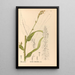 Riproduzione del dipinto Piante medicinali Pl090 - Charles Frederick Millspaugh