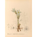 Piante medicinali Pl094 - Charles Frederick Millspaugh — vista dell’opera