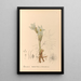 Piante medicinali Pl094 - Charles Frederick Millspaugh — quadro incorniciato alla parete