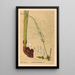 Piante medicinali Pl104 - Charles Frederick Millspaugh — quadro incorniciato alla parete
