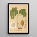 Piante medicinali Pl110 - Charles Frederick Millspaugh — quadro incorniciato alla parete