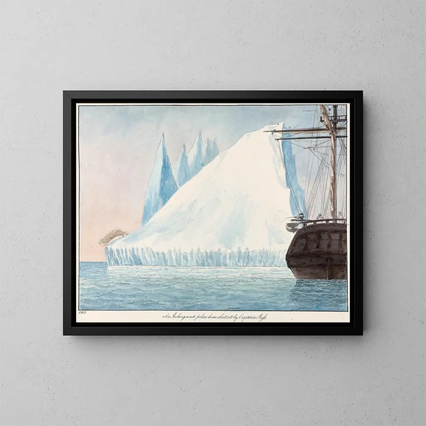 Un iceberg e un orso polare tirati dal capitano Ross - Charles Hamilton Smith — quadro incorniciato alla parete