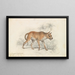 Le dhole dello Ceylan - Charles Hamilton Smith — quadro incorniciato alla parete