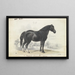 Cavallo da tiro inglese - Charles Hamilton Smith — quadro incorniciato alla parete