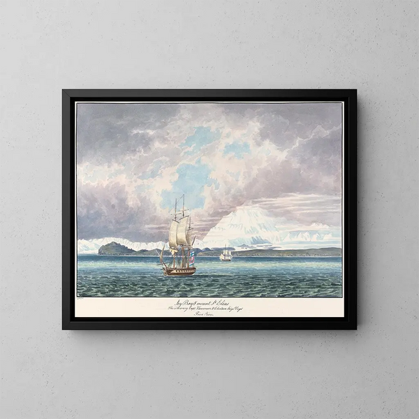 Baie glacée del monte Saint Elias - Charles Hamilton Smith — quadro incorniciato alla parete