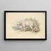 Leopardo delle nevi - Charles Hamilton Smith — quadro incorniciato alla parete