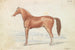 Le Cheval de course anglais - Charles Hamilton Smith — vista dell’opera