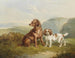 Due cani - Charles Jones — vista dell’opera
