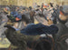 Au bal - Charles Maurin — vista dell’opera