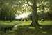 Ruisseau de prairie - Charles Paul Gruppe — vista dell’opera