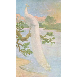 Charles Robert Knight - White Peacock.webp