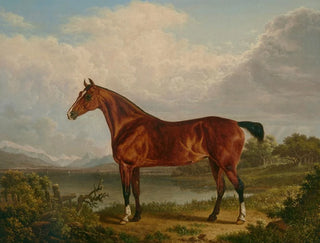 Charles Towne - A chestnut hunter belonging to Richard Tiltey.webp