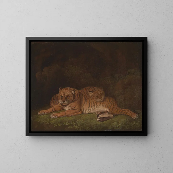 Tigri - Charles Towne — quadro incorniciato alla parete