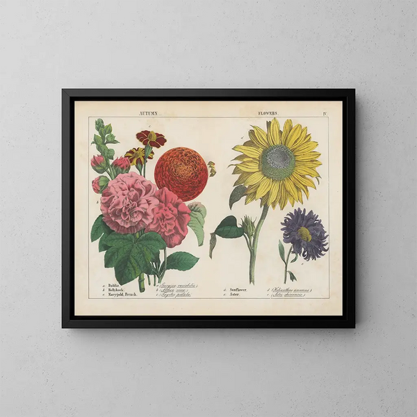 Fleurs d'automne - Charlotte Mary Yonge — quadro incorniciato alla parete