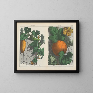 Charlotte Mary Yonge - Fruits Cucumber Melon.webp