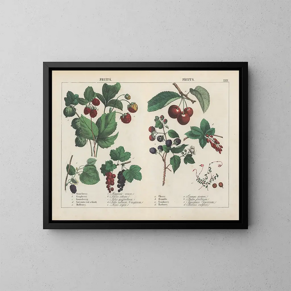Frutta - Charlotte Mary Yonge — quadro incorniciato alla parete
