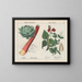 Verdure e radici di cucina: carciofo, rabarbaro, piselli - Charlotte Mary Yonge — quadro incorniciato alla parete