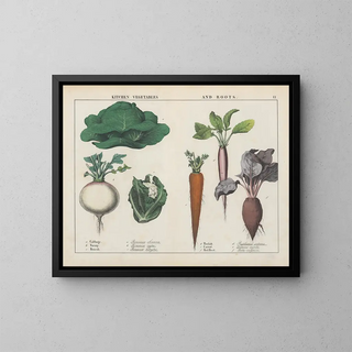 Charlotte Mary Yonge - Kitchen vegetables and roots Cabbage Turnip Brocoli.webp