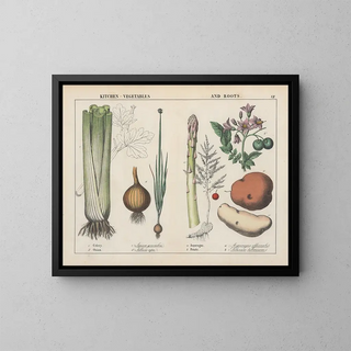 Charlotte Mary Yonge - Kitchen vegetables and roots Celery Onion Asparagus Potato.webp