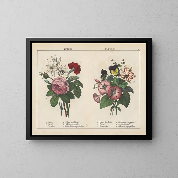 Fleurs d'été - Charlotte Mary Yonge — quadro incorniciato alla parete