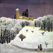 Château de Birseck sous la neige - Fritz Baumann — vista dell’opera