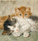 Chatons endormis - Henritte Ronner — vista dell’opera