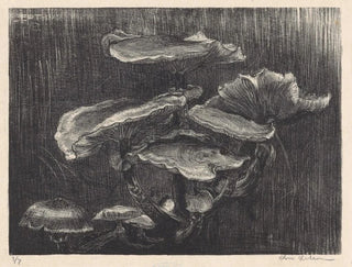 Chris Lebeau - Paddenstoelen.webp