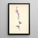 Campanula - Christen Dalsgaard — quadro incorniciato alla parete