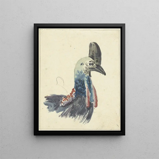 Christiaan van Geelen - Kop van de Kasuaris.webp