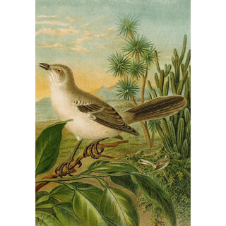 Christian Anton Goering - Die Nordamerikanische Vogelwelt pl04.webp