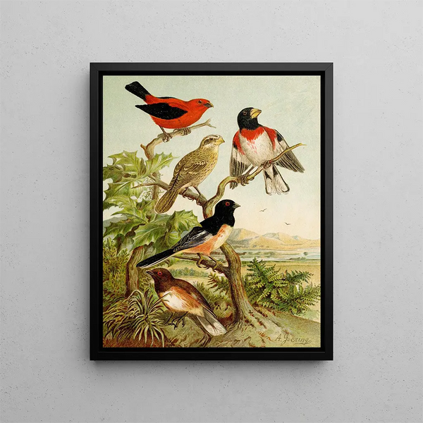 Le monde des oiseaux d'Amérique du Nord pl26 - Christian Anton Goering — quadro incorniciato alla parete