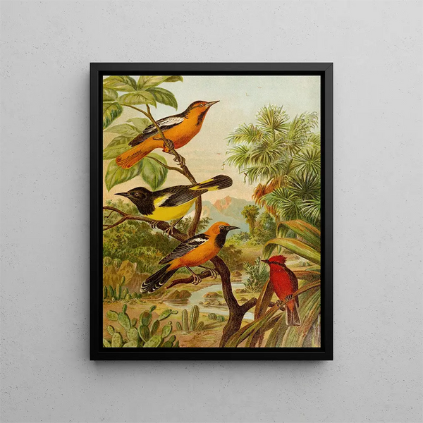 Le monde des oiseaux d'Amérique du Nord pl31 - Christian Anton Goering — quadro incorniciato alla parete