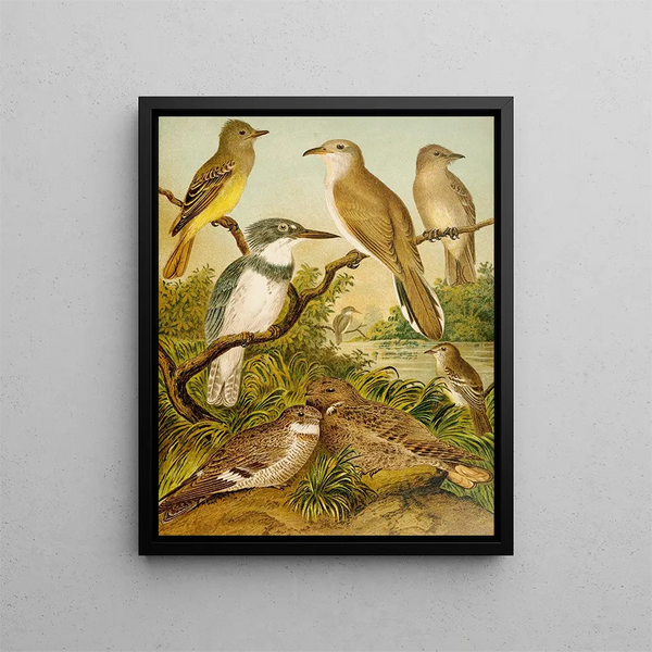 Le monde des oiseaux d'Amérique du Nord pl34 - Christian Anton Goering — quadro incorniciato alla parete