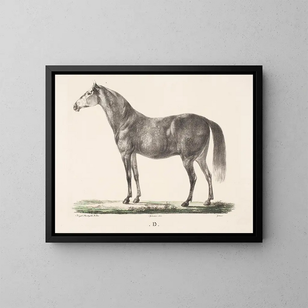 Il cavallo D - Christian David Gebauer — quadro incorniciato alla parete