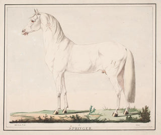 Christian David Gebauer - Hesten Springer.webp