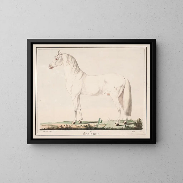 Il cavallo saltatore - Christian David Gebauer — quadro incorniciato alla parete