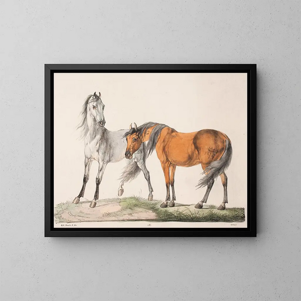 I cavalli E G - Christian David Gebauer — quadro incorniciato alla parete