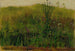 Piante sulla riva - Christian Friedrich Gille — vista dell’opera