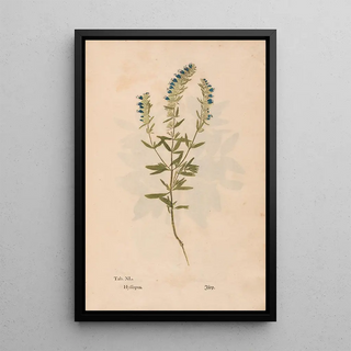 Christian Gottlieb Ludwig - Ectypa vegetabilium Pl040.webp