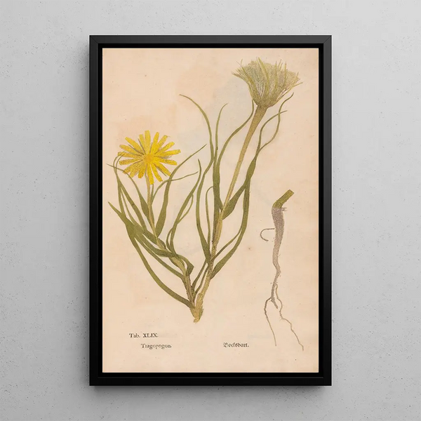 Riproduzione del dipinto Ectypa vegetabilium Pl049 - Christian Gottlieb Ludwig