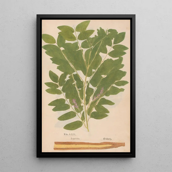 Riproduzione del dipinto Ectypa vegetabilium Pl064 - Christian Gottlieb Ludwig