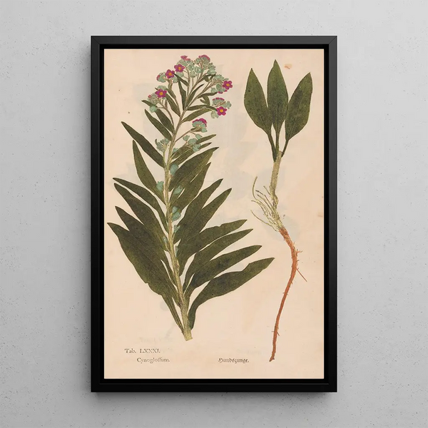 Riproduzione del dipinto Ectypa vegetabilium Pl081 - Christian Gottlieb Ludwig