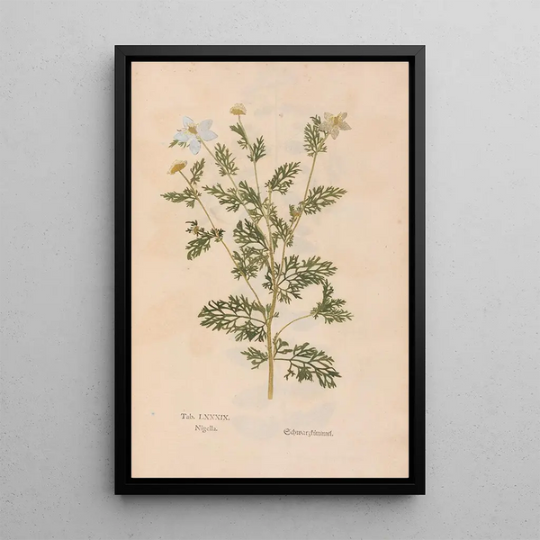 Ectypa vegetabilium Pl089 - Christian Gottlieb Ludwig — quadro incorniciato alla parete