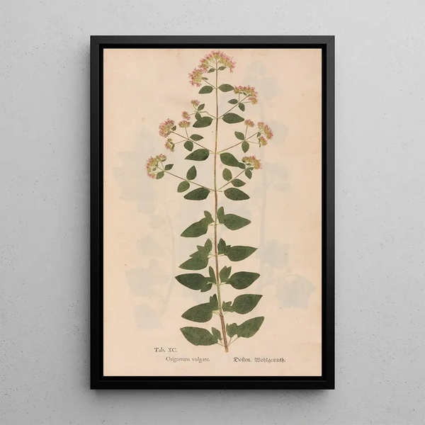 Riproduzione del dipinto Ectypa vegetabilium Pl090 - Christian Gottlieb Ludwig