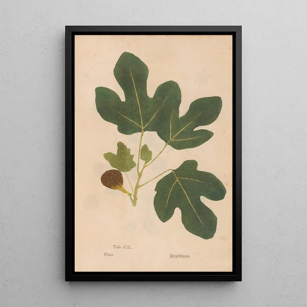 Riproduzione del dipinto Ectypa vegetabilium Pl109 - Christian Gottlieb Ludwig