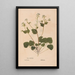 Ectypa vegetabilium Pl133 - Christian Gottlieb Ludwig — quadro incorniciato alla parete