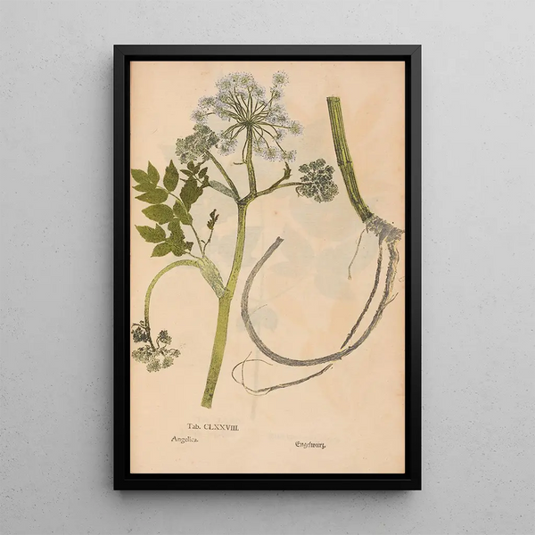 Riproduzione del dipinto Ectypa vegetabilium Pl178 - Christian Gottlieb Ludwig